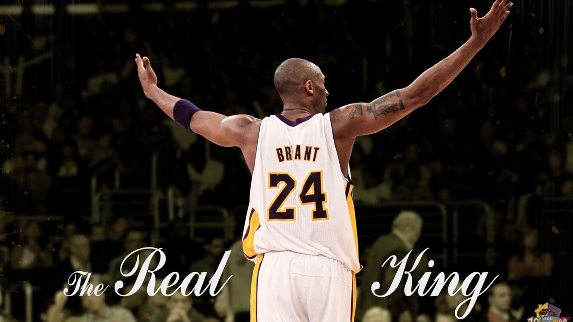 美加墨世界杯之夜,约基奇,那个在篮球宇宙中心跳舞的巨人